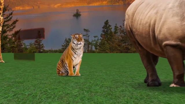 САМЫЕ УМНЫЕ ЖИВОТНЫЕ. 2 ЧАСТЬ смотреть онлайн