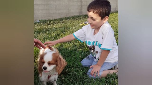 Это лето-поёт,это лето нам дарит праздник? смотреть онлайн