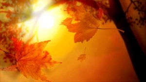 Вадим Козин - "Осень, прозрачное утро"