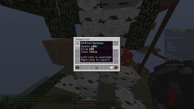 SHOWING my OLD MINECRAFT SKIN to Minion on Hypixel bedwars! смотреть онлайн