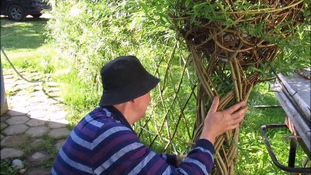 ПАВИВА. Как можно сохранить и ухаживать за плетёным деревом из ивы. Советы от профессионалов! смотреть онлайн