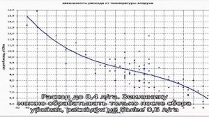Гербицид Лорнет избавит от сорняков вашу свеклу, землянику и газон