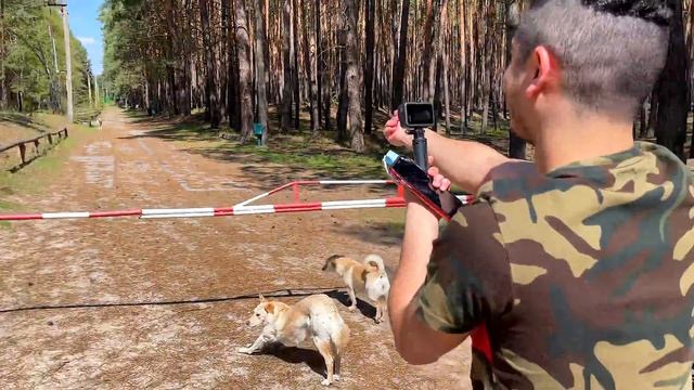 ЗА КЕМ ПОБЕЖИТ СОБАКА ? смотреть онлайн