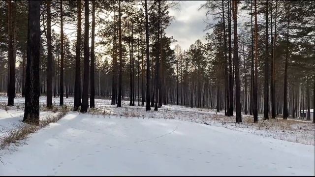 элитный коттеджный поселок Элемент на Байкальском тракте смотреть онлайн