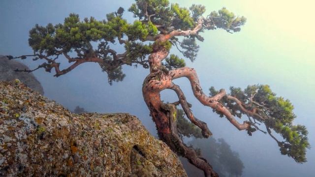 Комплексный подход к развивающимся событиям в мире. смотреть онлайн