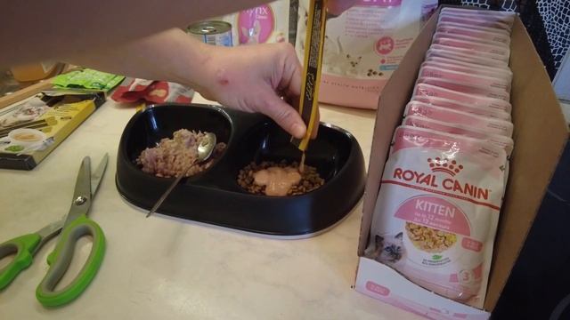 Что ест кошка канадский сфинкс. смотреть онлайн