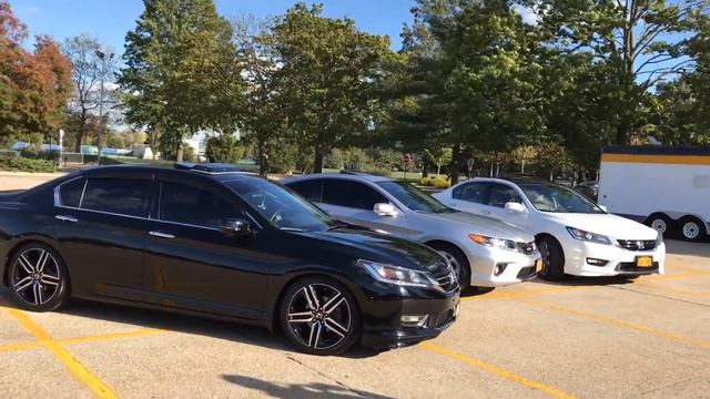 NY Accord gang смотреть онлайн