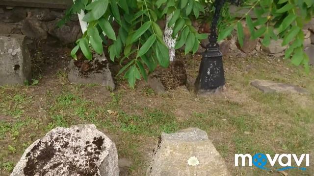 БЕЛАРУСЬ НОВОГРУДСКИЙ р-н- ВСЕЛЮБ#ХРАМ ВО ИМЯ СВ. АРХ. МИХАИЛА смотреть онлайн