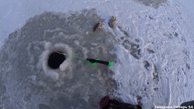 Открыл сезон. Ротан порадовал. Рыбалка удалась. смотреть онлайн