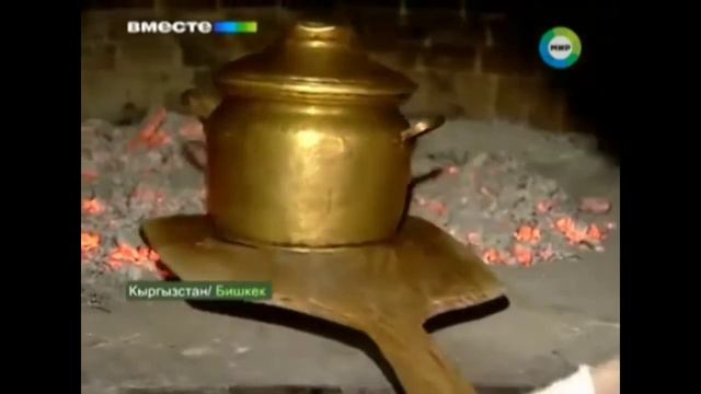 Домашние Животные и Их Уход