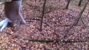 Канал "Два Охотника".