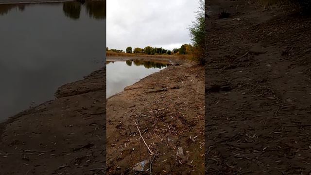 рыбалка на всегда. смотреть онлайн