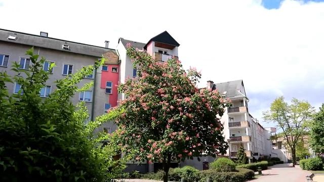 Смотрим район Koniuchy в Торуни. Как живут простые поляки. смотреть онлайн