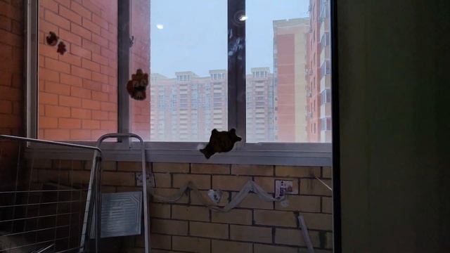 Обзор двухкомнатной квартиры, город Балашиха смотреть онлайн