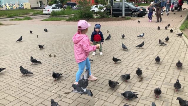 Ярославль 18 06 2022 г ч2 смотреть онлайн