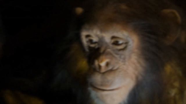 Fotos Con Canon Eos 1100d + 50mm