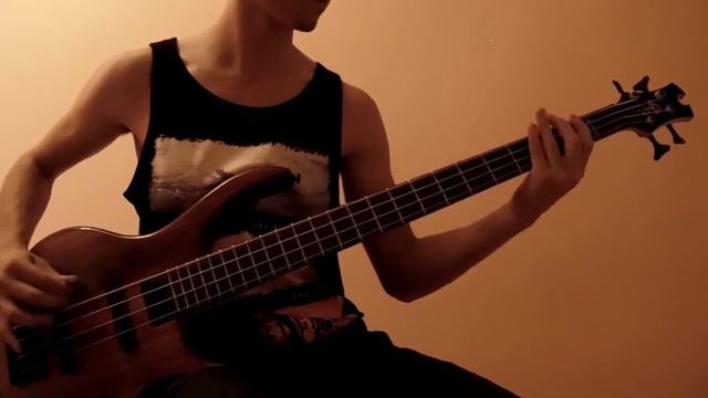 Megadeth - Trust (Bass Cover) смотреть онлайн