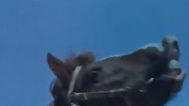 Савелий смотреть онлайн