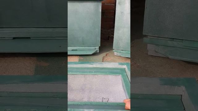 Нові вулики на Українську рамку .Микитинці .Хмельницька обл. смотреть онлайн