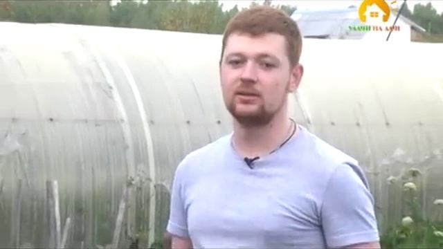 Выкопать картошку быстро и легко! смотреть онлайн