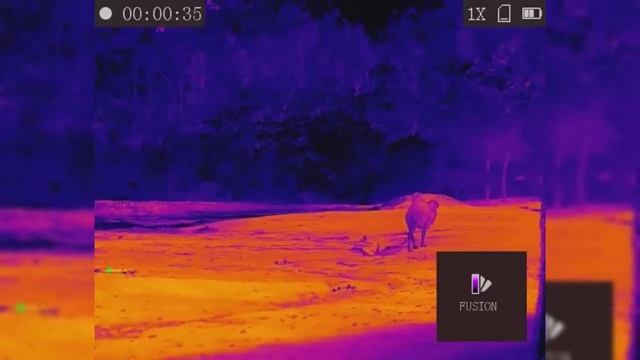 Mini 256*192 Infrared Thermal Camera Module смотреть онлайн