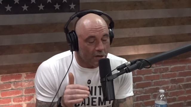 Joe Rogan And Tim Pool Go DEEP On UFOs