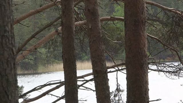 Озеро в тумане смотреть онлайн