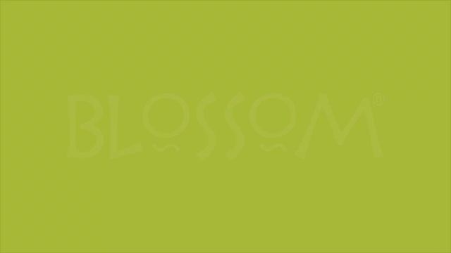 Медицинские перчатки Blossom смотреть онлайн