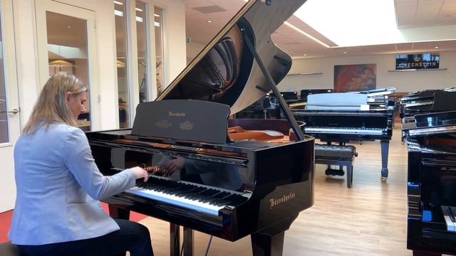 Bösendorfer 185VC vleugel, klassieke muziek смотреть онлайн