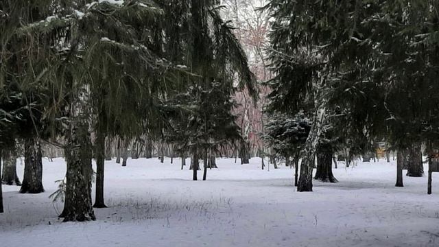 Книга: Как найти свою вторую половинку. Часть 8. смотреть онлайн