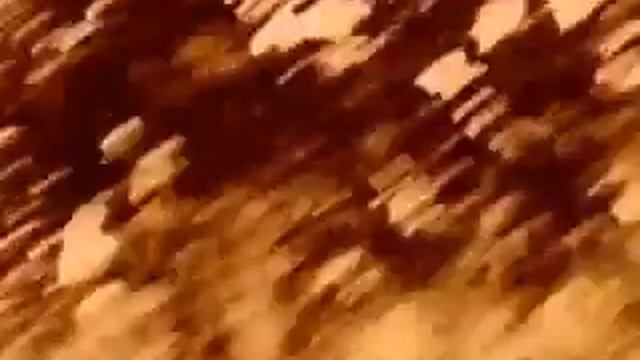 Биография Модеста Петровича Мусоргского. Урок музыки. смотреть онлайн