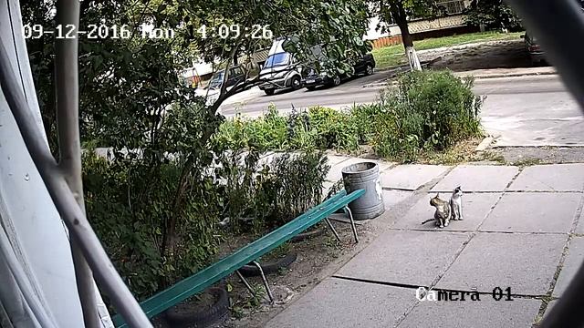 КОТЕГИ!!! Hik Vision ip-camera DS-2CD2010F-I day test смотреть онлайн