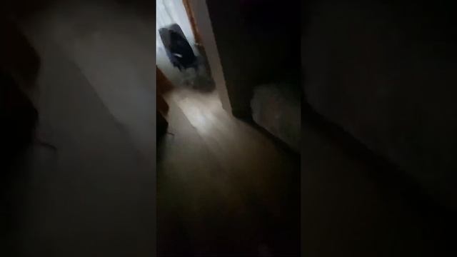 КАК ПОЛУЧИТЬ ТЕЛЕФОН ПОД ПОДУШКОЙ ? | PHOENIX смотреть онлайн