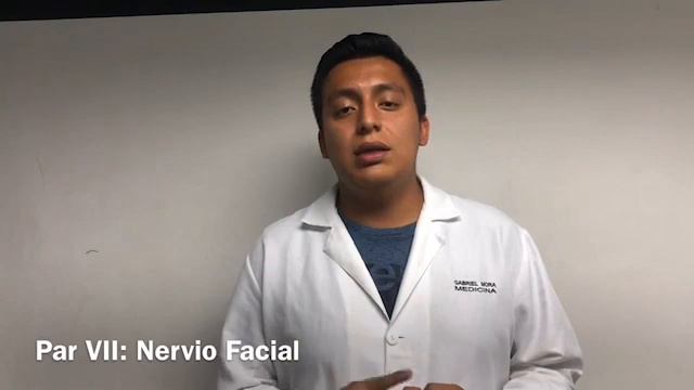 Exploración De Pares Craneales