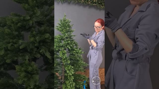 Как красиво расправить ёлку Сириус на видео высота 2.3м смотреть онлайн