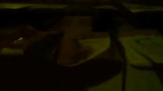 Twinkle Twinkle on Casio Keyboard-Dedicated to Everyone смотреть онлайн