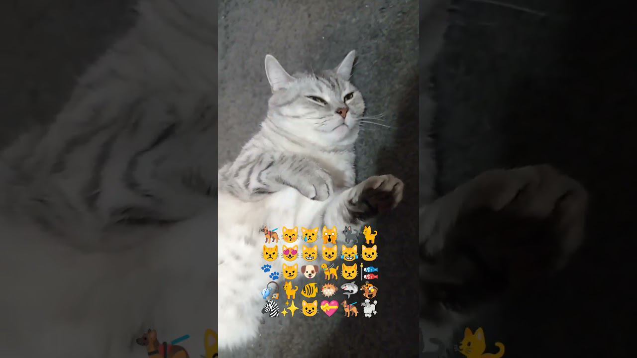 Найди два одинаковых смайлика на картинке! #Shorts смотреть онлайн