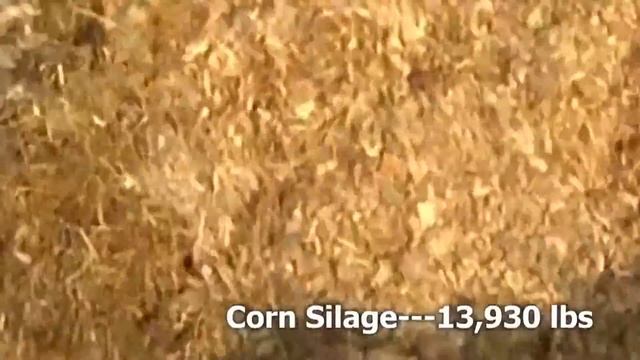 Кормление на комплексе КРС смотреть онлайн