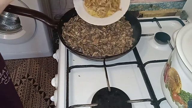 Шампиньоны тушёные в сметане смотреть онлайн