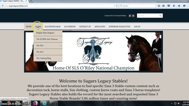 How To Download Sims 3 Horse Coats смотреть онлайн