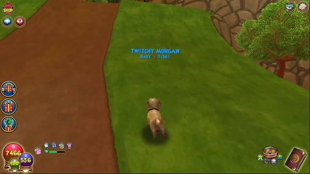 Wizard101: *NEW* PET TRAINER BUNDLE! смотреть онлайн