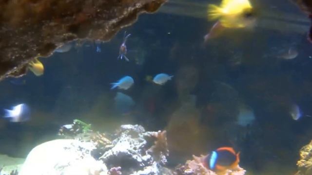 Почему нельзя складывать носок в носок: неожиданный ответ удивит и ошеломит смотреть онлайн