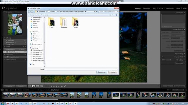 Как найти потерявшийся раздел с фото в Lightroom (Лайтрум)