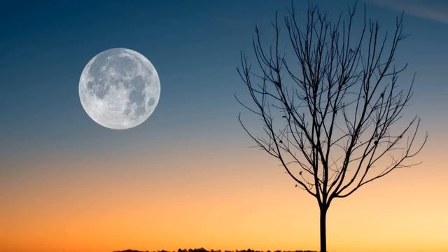 Ложное пробуждение смотреть онлайн