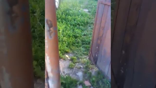 Прикол про холод (10+)