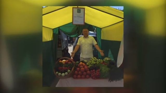 Теплицы Юрия Величко из Курганинского района смотреть онлайн