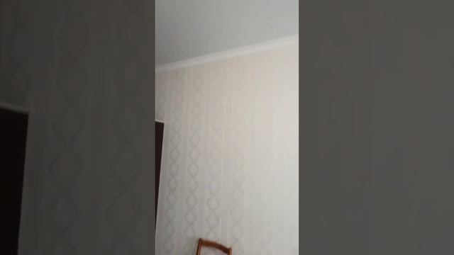 video 2023 11 13 17 55 53 смотреть онлайн