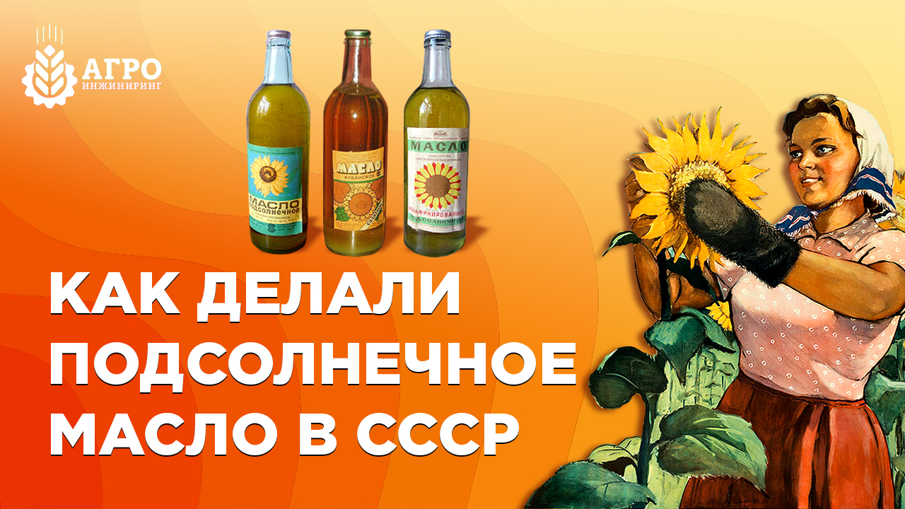 Подсолнечное масло из СССР, как его делали и как делают масло сейчас. смотреть онлайн