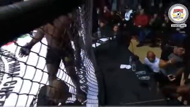 АЛЕКСАНДР ЕМЕЛЬЯНЕНКО ПРОТИВ ДОС САНТОСА! ПОБЕДА! смотреть онлайн