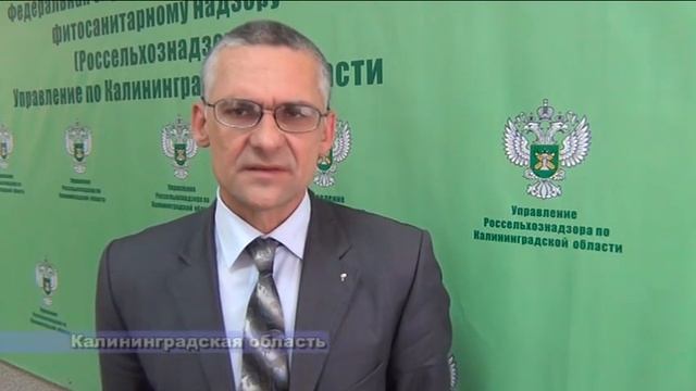 В России появился 100 тысячный пользователь автоматизированной системы "Аргус" смотреть онлайн